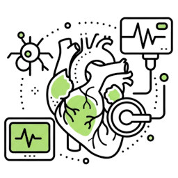 Kardiologische high end Diagnostik